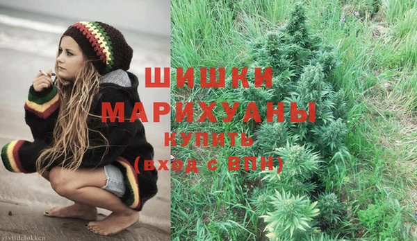 ПСИЛОЦИБИНОВЫЕ ГРИБЫ Бронницы