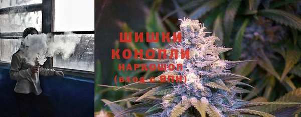 спиды Верея