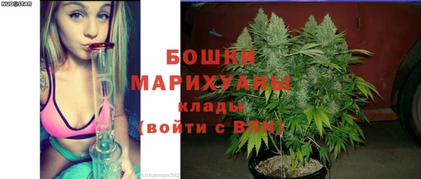 ПСИЛОЦИБИНОВЫЕ ГРИБЫ Бронницы