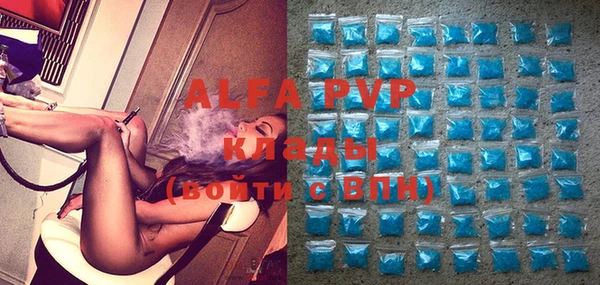 спиды Верея